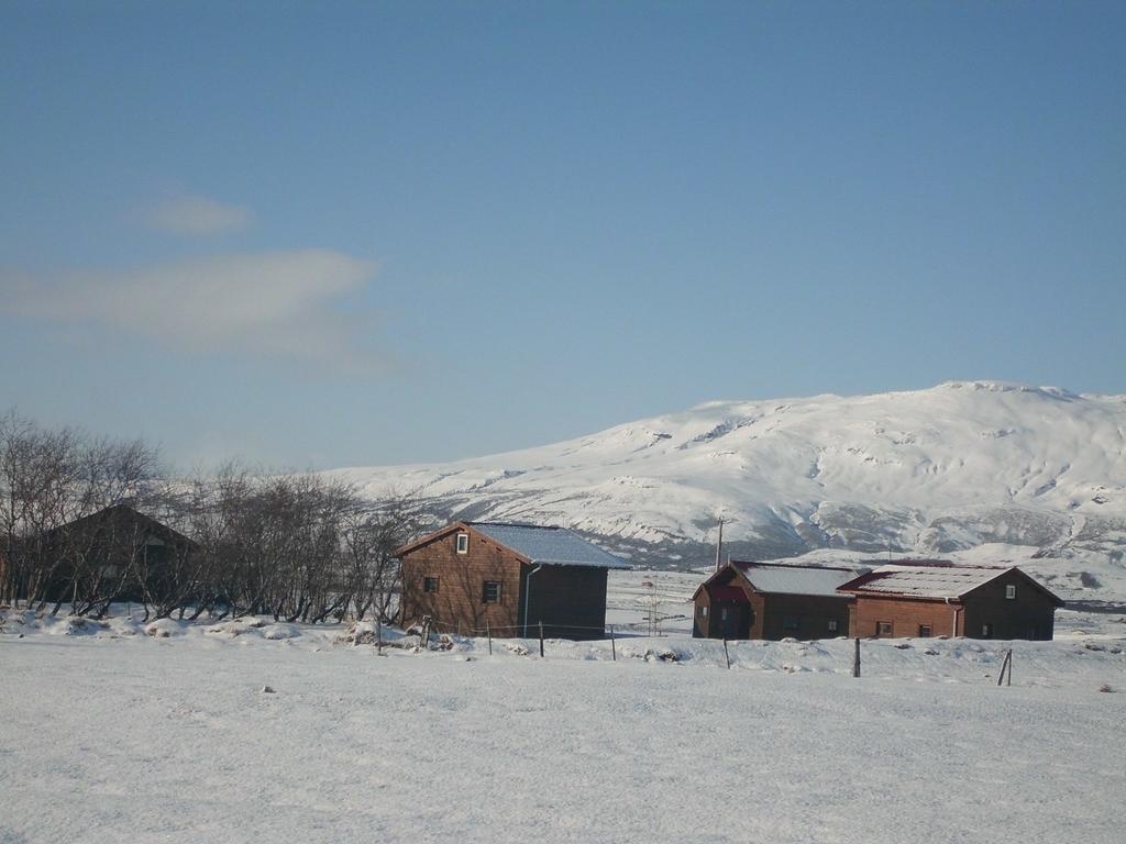 Geysir Hestar Haukadalur Quarto foto