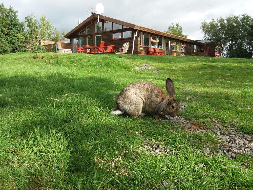 Geysir Hestar Haukadalur Exterior foto